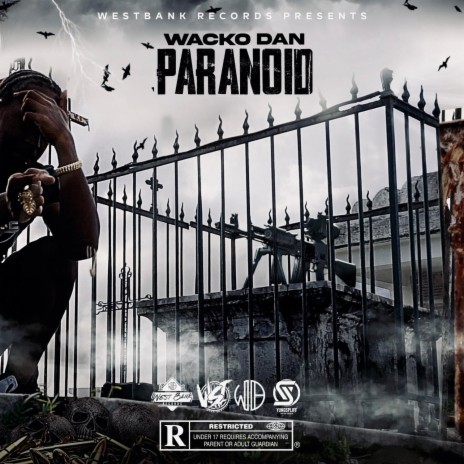 Paranoid ft. Wacko Dan | Boomplay Music