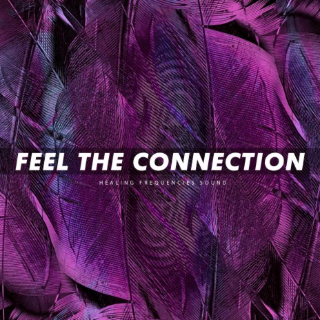 Feel the Connection