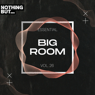 Nothing But... Essential Big Room, Vol. 26