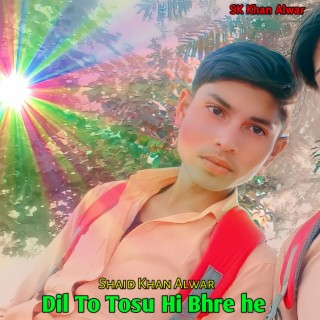 Dil To Tosu Hi Bhre He