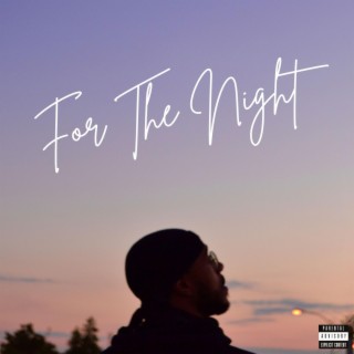 For The Night lyrics | Boomplay Music