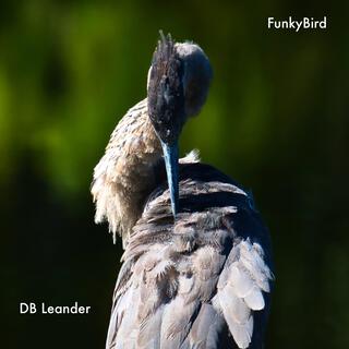 FunkyBird