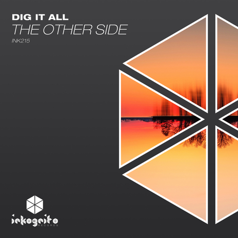 The Other Side ft. Inkognito Records | Boomplay Music