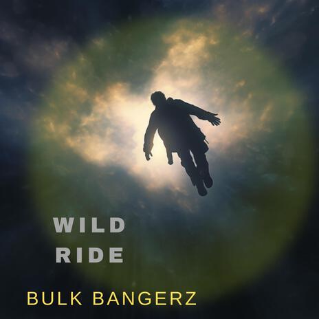 Wild Ride | Boomplay Music