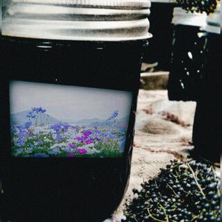 Gwapejelly (Jar #3)