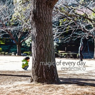 magic of every day