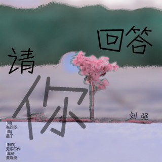 请你回答 lyrics | Boomplay Music