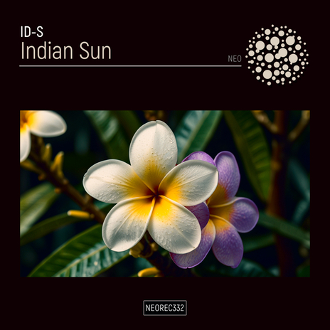 Indian Sun | Boomplay Music