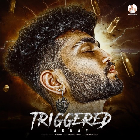 Triggered | Boomplay Music