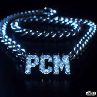 P.C.M lyrics | Boomplay Music