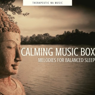 Calming Music Box Melodies for Balanced Sleep