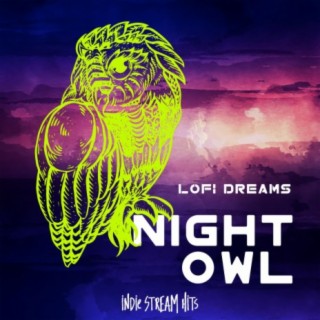 Night Owl (Lofi Dreams)