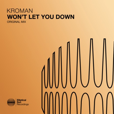 Won't Let You Down (Extended Mix) | Boomplay Music
