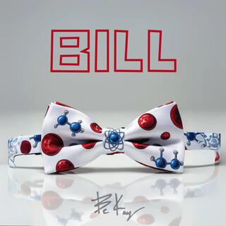 BILL lyrics | Boomplay Music