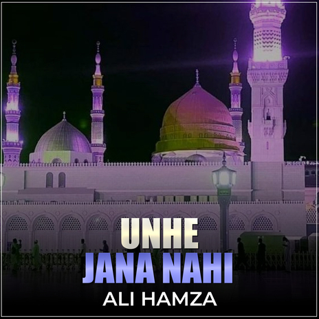 Unhe Jana Nahi | Boomplay Music