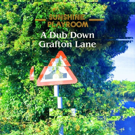 A Dub Down Grafton Lane | Boomplay Music