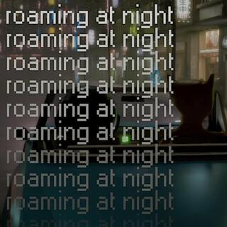 roaming at night (2024 re-mix)