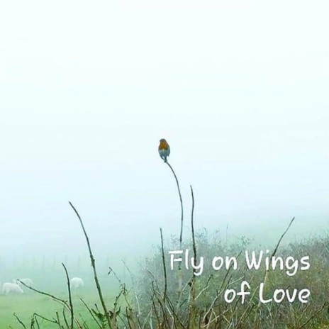 Fly on Wings of Love | Boomplay Music
