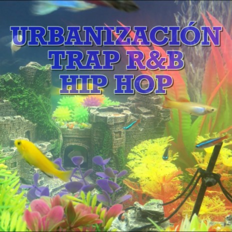 URBANIZACIÓN | Boomplay Music