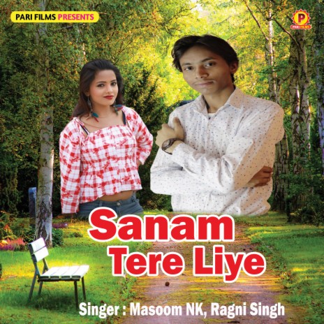 Sanam Tere Liye ft. Ragni Singh | Boomplay Music