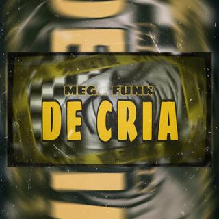 MEGA FUNK DE CRIA