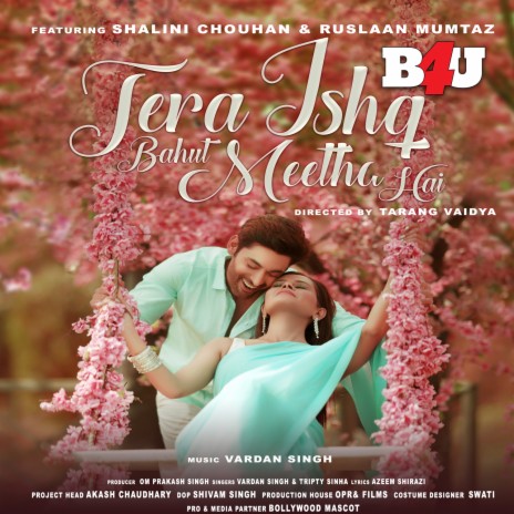 Tera Ishq Bahut Meetha ft. Tripty Sinha, Shalini Chouhan & Ruslaan Mumtaz | Boomplay Music