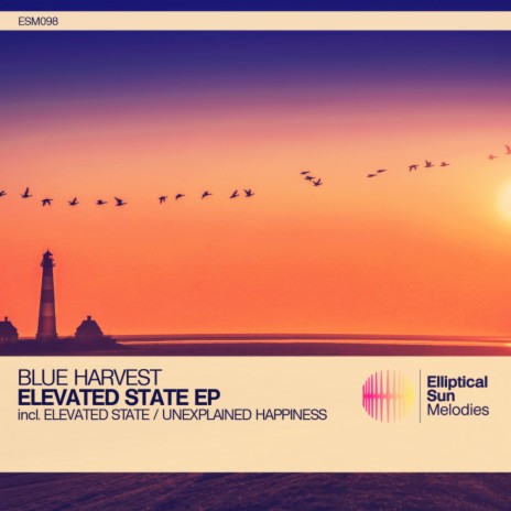 Elevated State | Boomplay Music