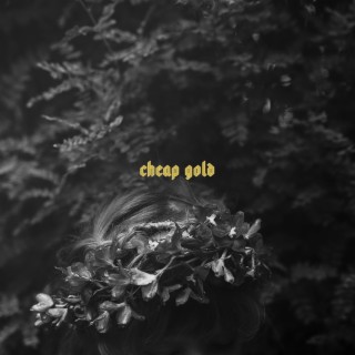 cheap gold lyrics | Boomplay Music