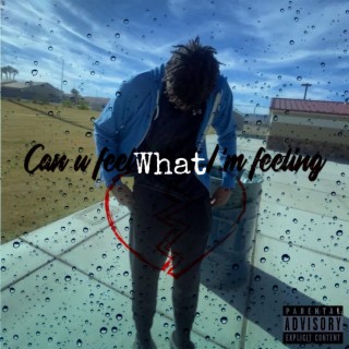 Can you feel what I'm feeling lyrics | Boomplay Music