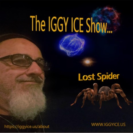 The Iggy Ice Show