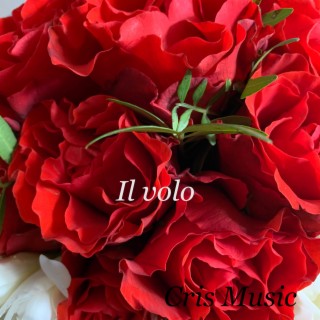 Il volo