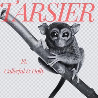 Tarsier