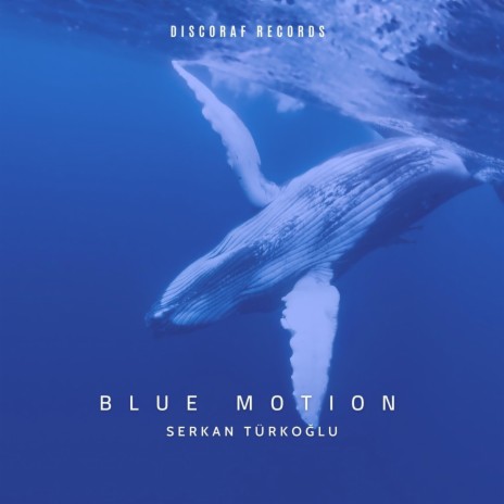 Blue Motion | Boomplay Music