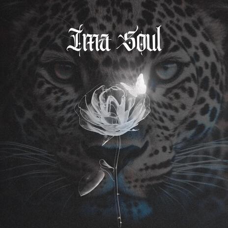 Ima Soul | Boomplay Music