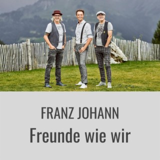 Freunde Wie Wir lyrics | Boomplay Music