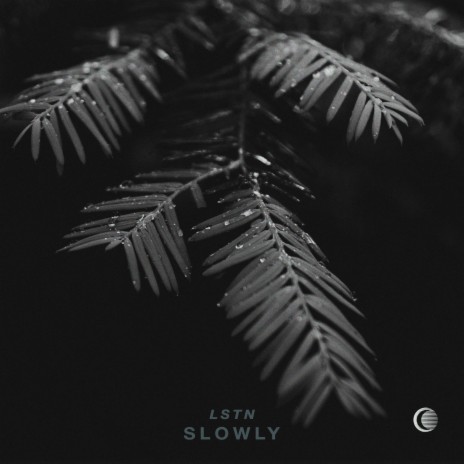 Slowly | Boomplay Music