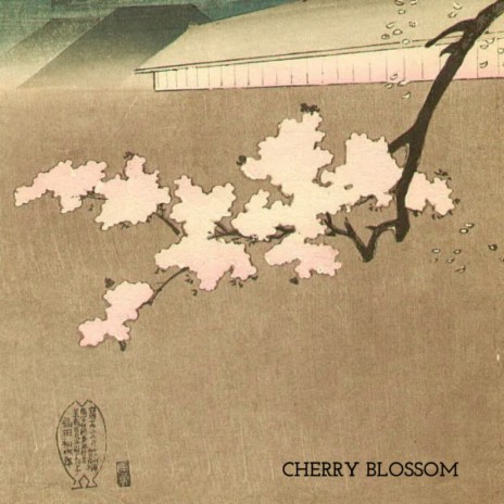 Cherry Blossom