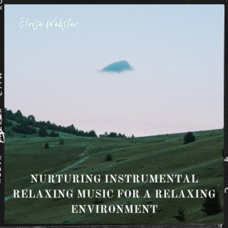 Nurturing Instrumental Relaxing Music for a Relaxing Environment