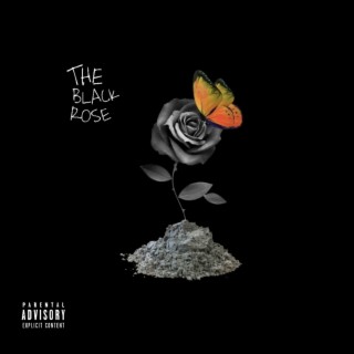 The Black Rose