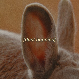 dust bunnies