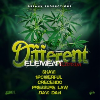 Different Element Riddim