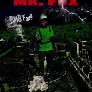 Mr. Fox