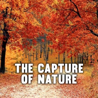 The Capture of Nature