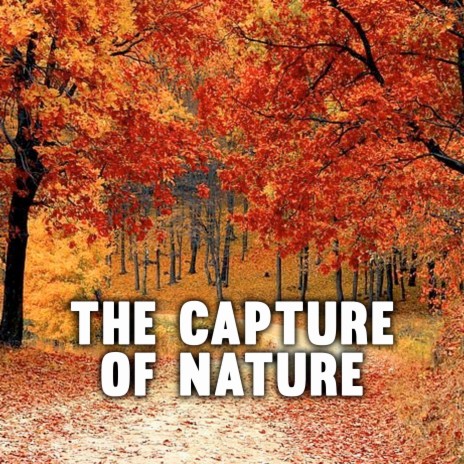 The Capture of Nature | Boomplay Music