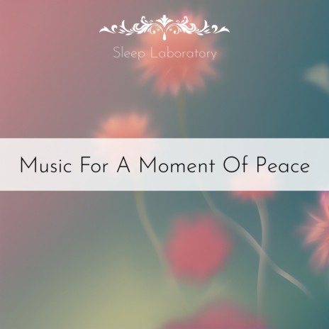 The Soothing Dream | Boomplay Music