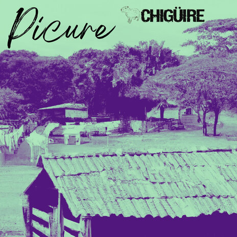 Picure ft. Chigüire | Boomplay Music