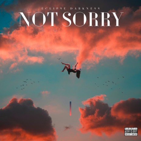 Not Sorry | Boomplay Music