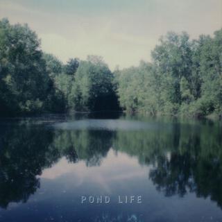 Pond Life