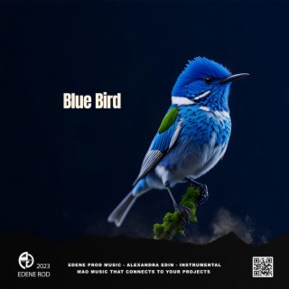 Blue Bird