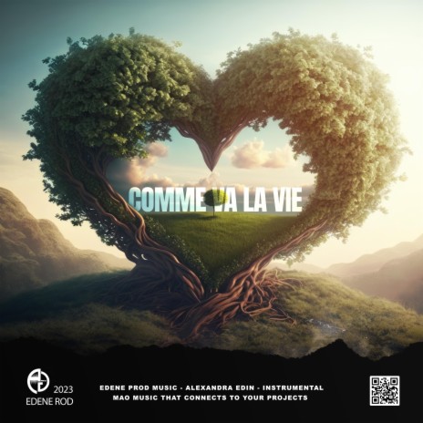 Comme va la vie (Radio Edit) | Boomplay Music